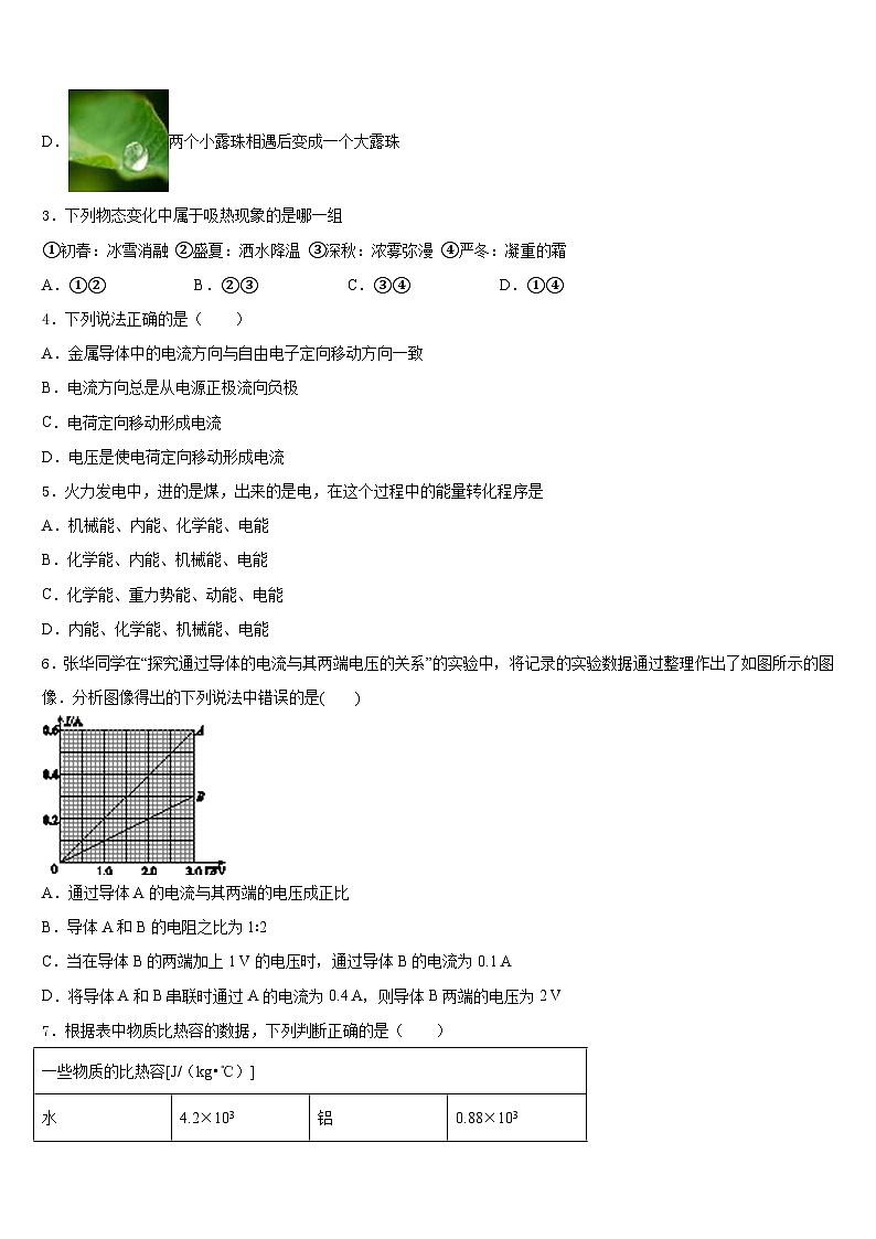 四川省资中县联考2023-2024学年九上物理期末经典试题含答案第2页