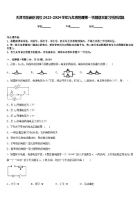 天津市东丽区名校2023-2024学年九年级物理第一学期期末复习检测试题含答案