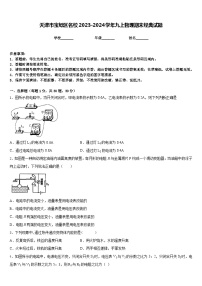 天津市宝坻区名校2023-2024学年九上物理期末经典试题含答案