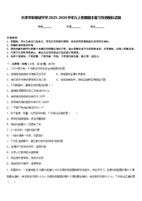 天津市军粮城中学2023-2024学年九上物理期末复习检测模拟试题含答案