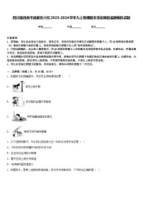 四川省自贡市高新区六校2023-2024学年九上物理期末质量跟踪监视模拟试题含答案