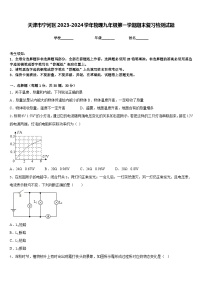 天津市宁河区2023-2024学年物理九年级第一学期期末复习检测试题含答案