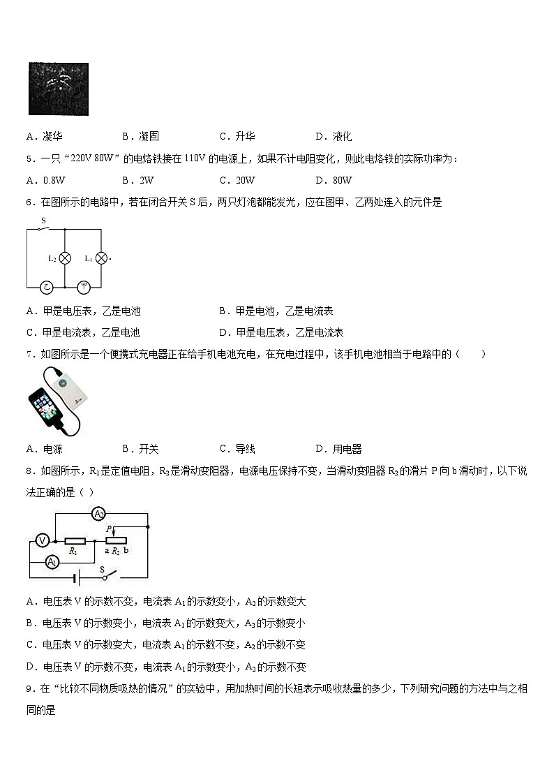 天津市宁河区2023-2024学年物理九年级第一学期期末复习检测试题含答案第2页