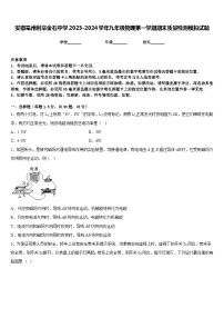 安徽亳州利辛金石中学2023-2024学年九年级物理第一学期期末质量检测模拟试题含答案