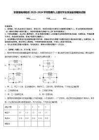 安徽省亳州地区2023-2024学年物理九上期末学业质量监测模拟试题含答案