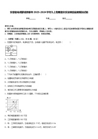 安徽省亳州蒙城县联考2023-2024学年九上物理期末质量跟踪监视模拟试题含答案