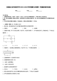 安徽省六安市裕安中学2023-2024学年物理九年级第一学期期末联考试题含答案