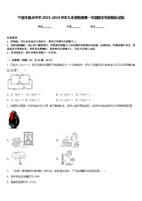 宁德市重点中学2023-2024学年九年级物理第一学期期末检测模拟试题含答案