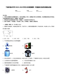 宁德市重点中学2023-2024学年九年级物理第一学期期末质量检测模拟试题含答案