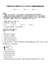 宁夏银川市宁夏大附属中学2023-2024学年九上物理期末调研模拟试题含答案