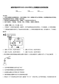 威海市重点中学2023-2024学年九上物理期末达标检测试题含答案