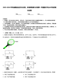 2023-2024学年福建省龙岩市永定区、连城县物理九年级第一学期期末学业水平测试模拟试题含答案