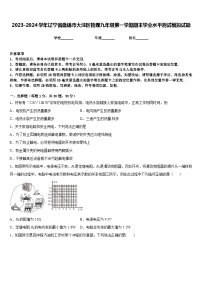 2023-2024学年辽宁省盘锦市大洼区物理九年级第一学期期末学业水平测试模拟试题含答案