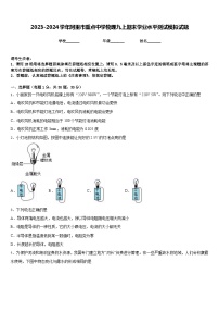 2023-2024学年阿里市重点中学物理九上期末学业水平测试模拟试题含答案