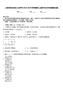 上海市闵行区民办上宝中学2023-2024学年物理九上期末学业水平测试模拟试题含答案