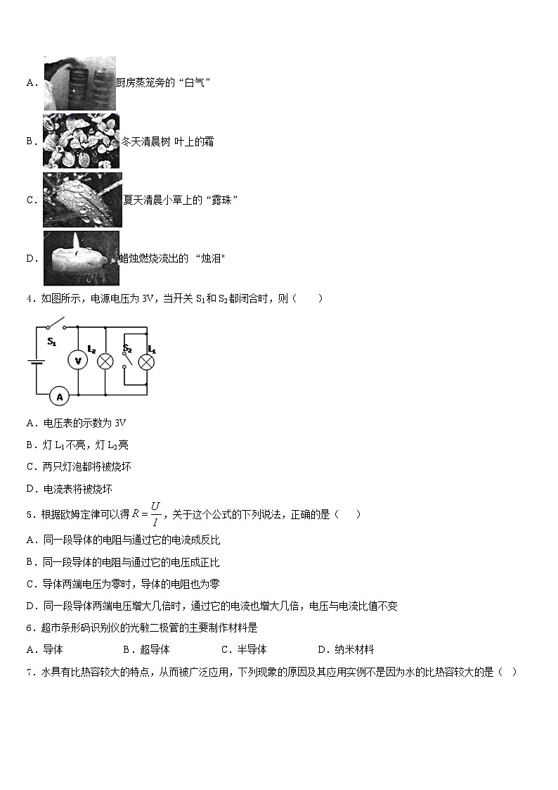 吉林省农安县杨树林中学2023-2024学年物理九年级第一学期期末学业水平测试试题含答案02