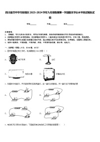 四川省巴中学市恩阳区2023-2024学年九年级物理第一学期期末学业水平测试模拟试题含答案