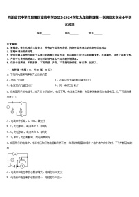 四川省巴中学市恩阳区实验中学2023-2024学年九年级物理第一学期期末学业水平测试试题含答案