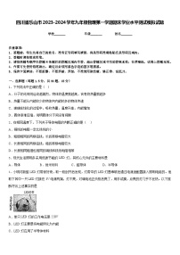 四川省乐山市2023-2024学年九年级物理第一学期期末学业水平测试模拟试题含答案