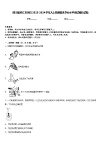 四川省内江市名校2023-2024学年九上物理期末学业水平测试模拟试题含答案