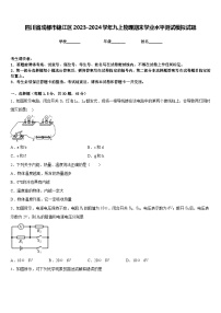 四川省成都市锦江区2023-2024学年九上物理期末学业水平测试模拟试题含答案