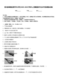 四川省绵阳宜溪中学心学校2023-2024学年九上物理期末学业水平测试模拟试题含答案