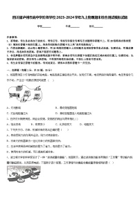 四川省泸州市高中学阶段学校2023-2024学年九上物理期末综合测试模拟试题含答案