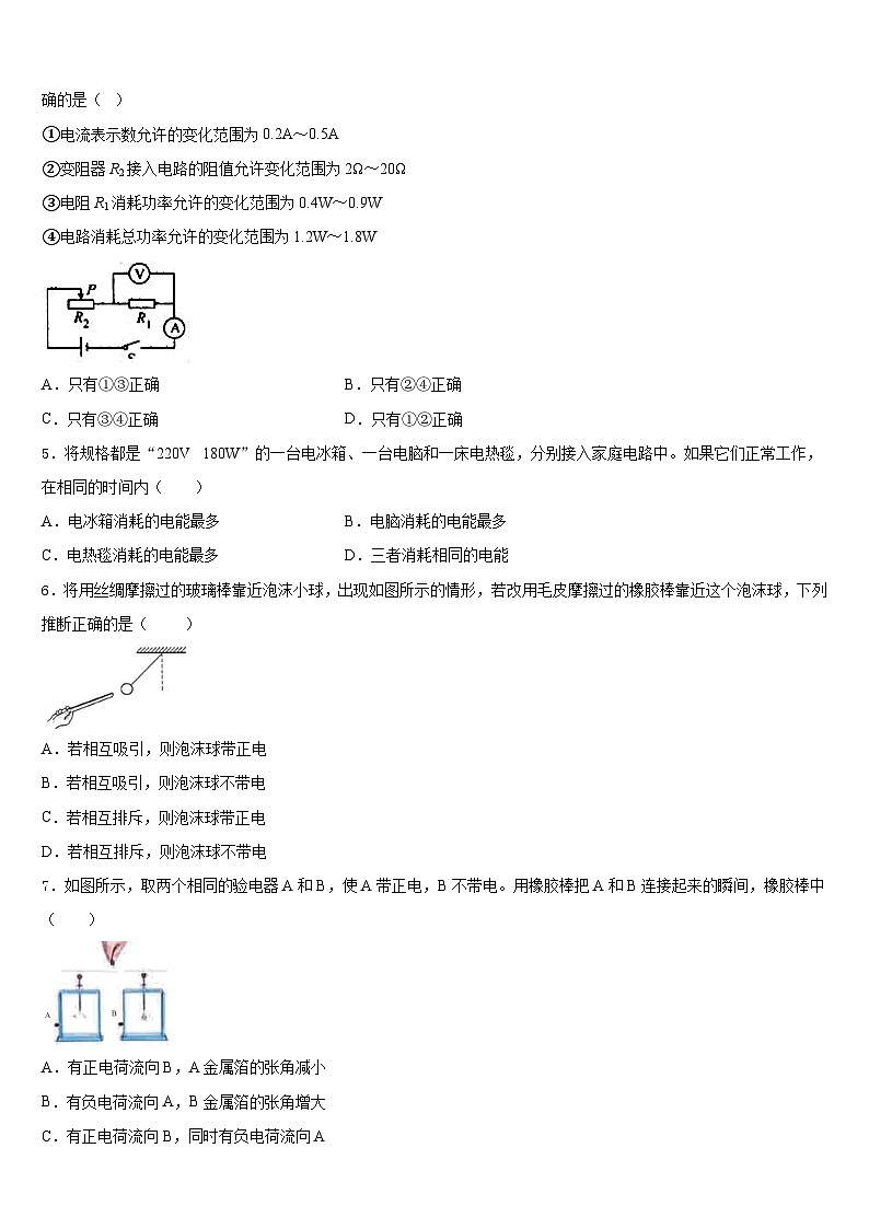 天津市河北区扶轮中学2023-2024学年物理九年级第一学期期末学业水平测试模拟试题含答案02