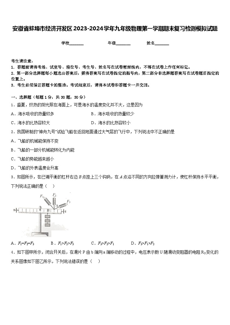 安徽省蚌埠市经济开发区2023-2024学年九年级物理第一学期期末复习检测模拟试题含答案01