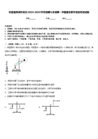 安徽省滁州市名校2023-2024学年物理九年级第一学期期末教学质量检测试题含答案