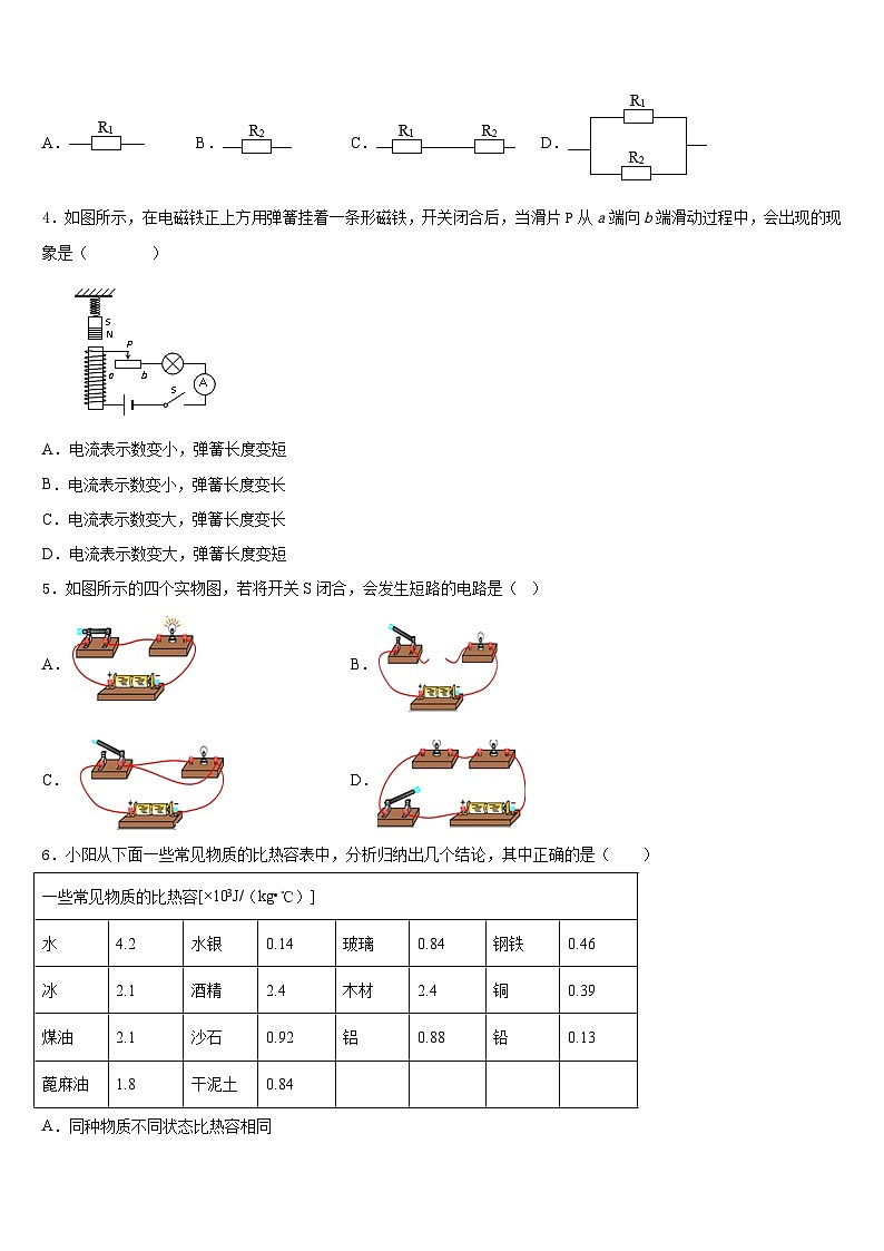 安徽省淮北市第二中学2023-2024学年物理九上期末学业质量监测模拟试题含答案02