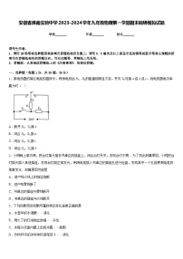 安徽省淮南实验中学2023-2024学年九年级物理第一学期期末调研模拟试题含答案