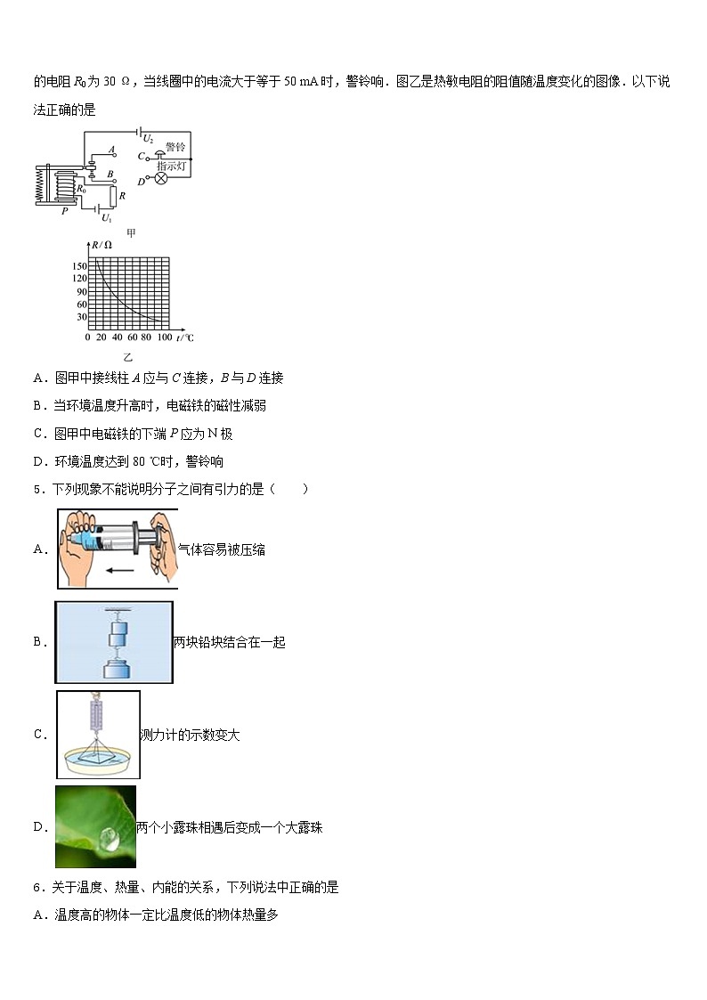 安徽省桐城实验中学2023-2024学年物理九上期末检测模拟试题含答案02