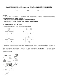 山东德州经开区抬头寺中学2023-2024学年九上物理期末复习检测模拟试题含答案