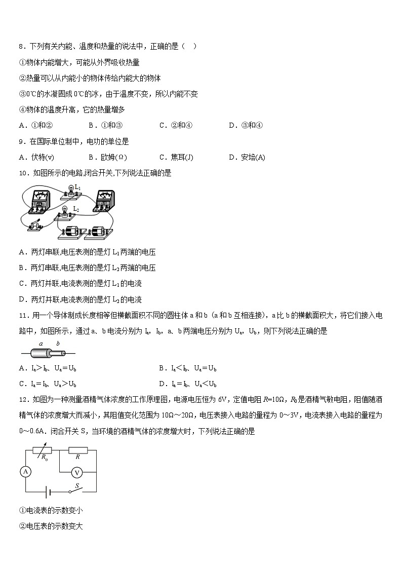 山东德州经开区抬头寺中学2023-2024学年九上物理期末复习检测模拟试题含答案第3页