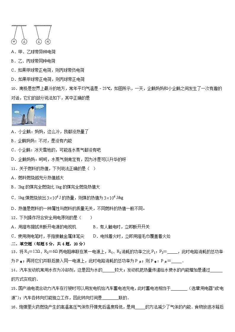 山东省东平实验中学2023-2024学年九上物理期末质量检测模拟试题含答案03