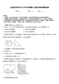 山东省东平县2023-2024学年物理九上期末质量检测模拟试题含答案