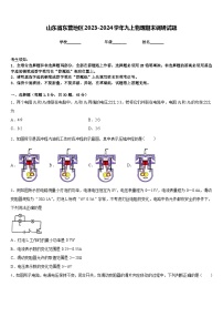 山东省东营地区2023-2024学年九上物理期末调研试题含答案