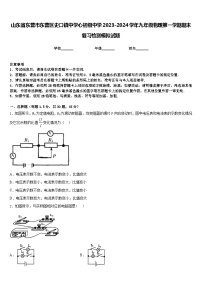 山东省东营市东营区史口镇中学心初级中学2023-2024学年九年级物理第一学期期末复习检测模拟试题含答案