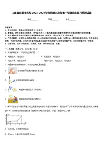 山东省东营市名校2023-2024学年物理九年级第一学期期末复习检测试题含答案