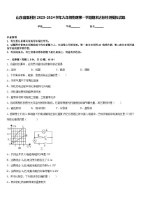 山东省垦利区2023-2024学年九年级物理第一学期期末达标检测模拟试题含答案