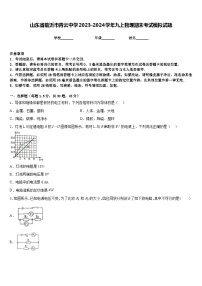 山东省临沂市青云中学2023-2024学年九上物理期末考试模拟试题含答案