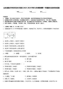 山东省临沂市经济技术开发区2023-2024学年九年级物理第一学期期末达标检测试题含答案