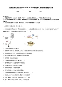 山东省寿光市实验中学2023-2024学年物理九上期末检测模拟试题含答案