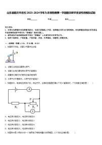 山东省临沂市名校2023-2024学年九年级物理第一学期期末教学质量检测模拟试题含答案