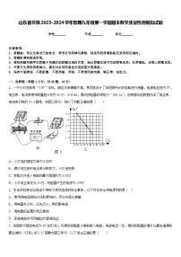 山东省曹县2023-2024学年物理九年级第一学期期末教学质量检测模拟试题含答案