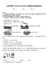 山东省曹县第一中学2023-2024学年九上物理期末达标检测模拟试题含答案