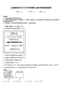 山东省昌乐县2023-2024学年物理九上期末质量跟踪监视试题含答案