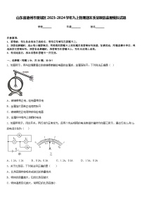 山东省德州市陵城区2023-2024学年九上物理期末质量跟踪监视模拟试题含答案