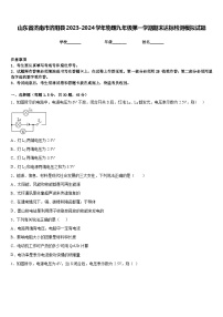 山东省济南市济阳县2023-2024学年物理九年级第一学期期末达标检测模拟试题含答案